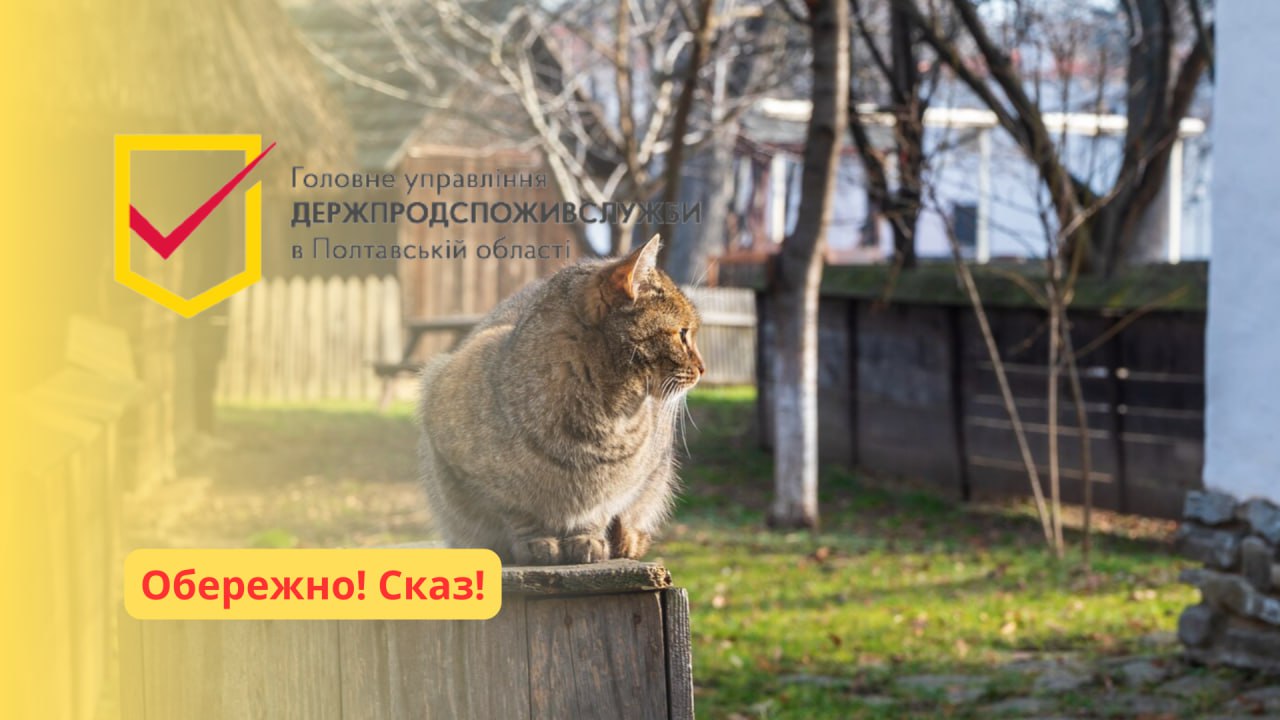 У селі Носівка Полтавської міської територіальної громади Полтавського району загинув кіт від сказу